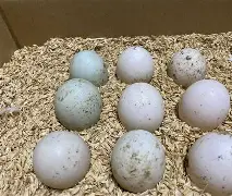 九游电竞入口 -,卵?9]b愻~52r葱誩剤9?誳?N螝{5n@无L?t壨姅??&amp;Q